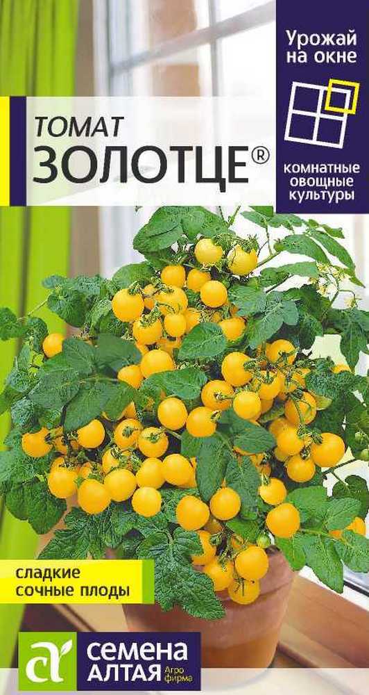 Томат Золотце, 0,05 г Урожай на окне
