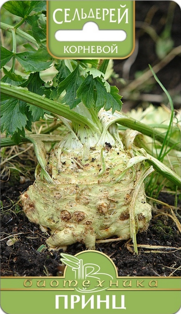 Сельдерей корневой Принц, 0,1 г. Биотехника.