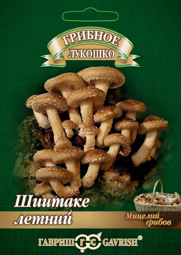 Шиитаке Летний на древесной палочке, 12 шт.