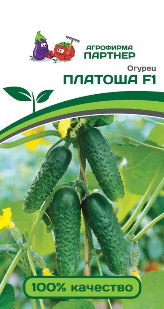 Огурец Платоша F1, 5 шт. Агрофирма Партнер.