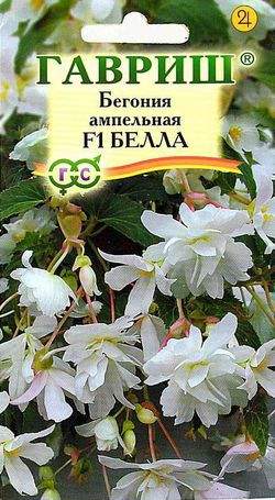 Бегония клубневая Бэлла F1, ампельная, 5шт. 