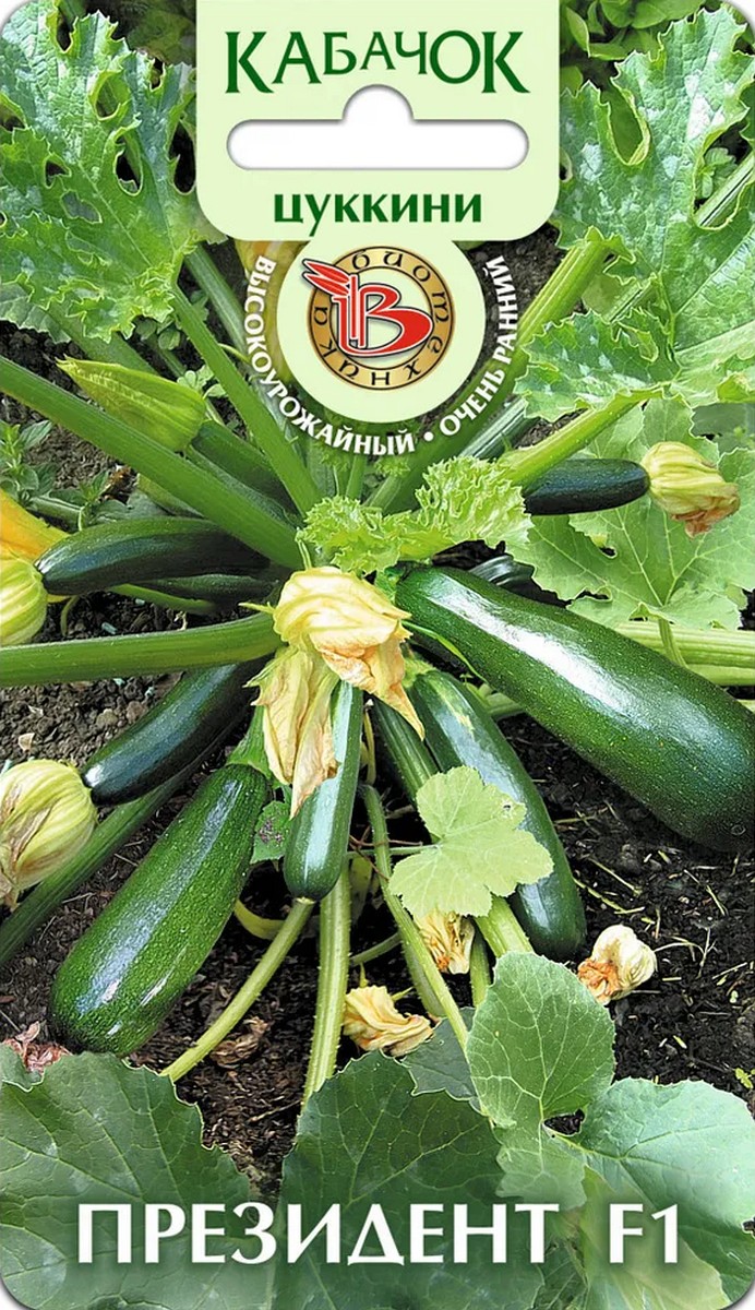 Кабачок Президент F1, 5 шт. Биотехника.