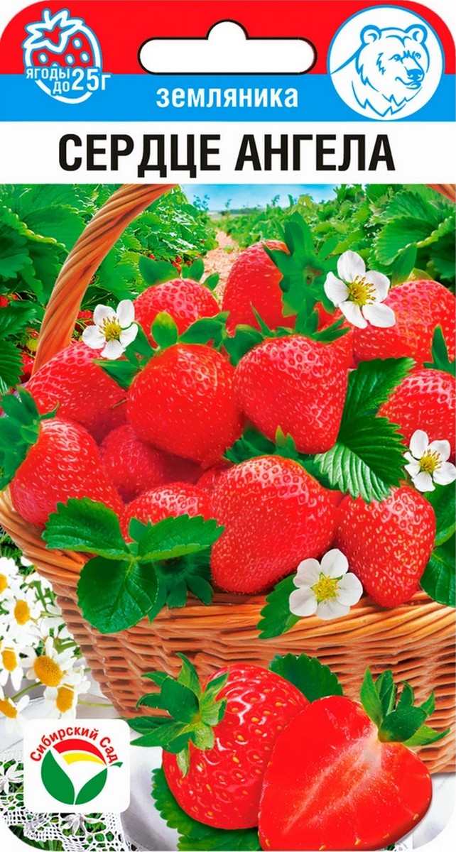 Земляника Сердце Ангела крупноплодная, 10 шт.