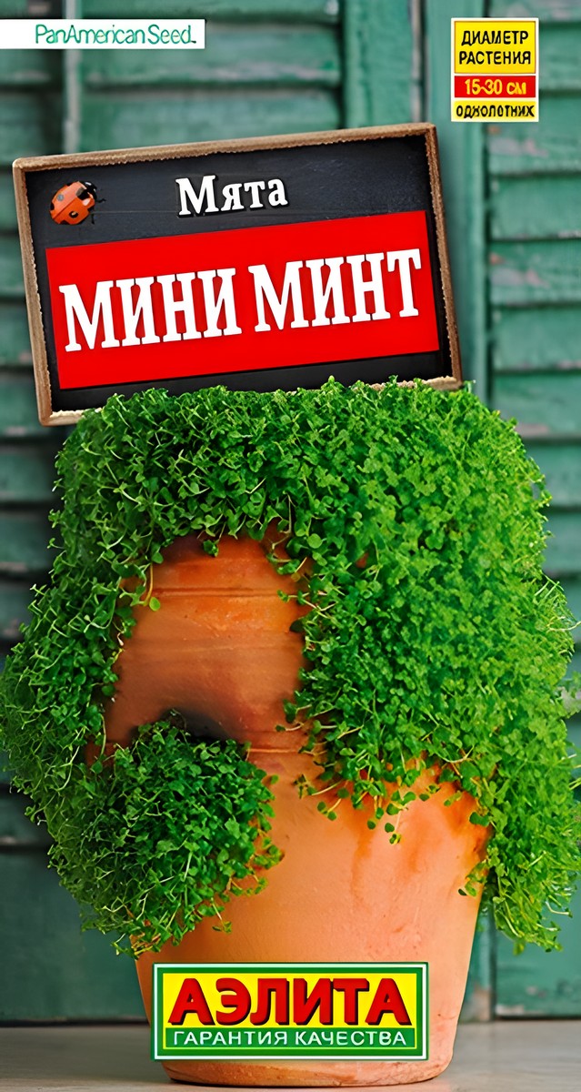 Мята Мини минт, 3 шт.