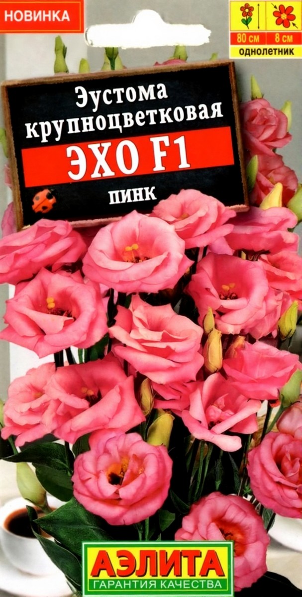 Эустома Эхо F1 пинк крупноцветковая, 5 шт.