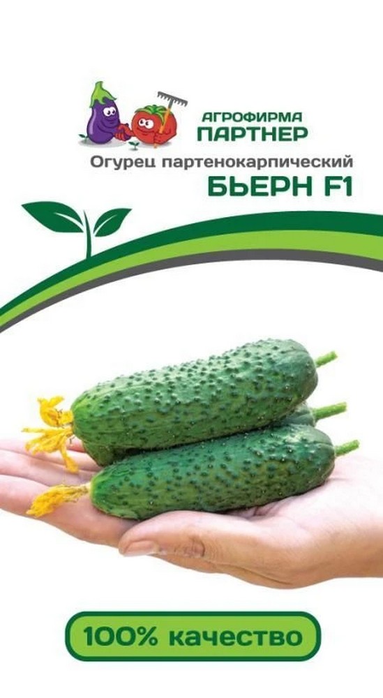 Огурец Бьерн F1, 5 шт. Агрофирма Партнер.