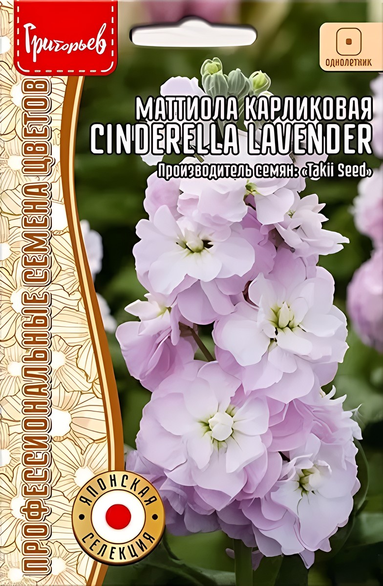 Маттиола карликовая Cinderella Lavender (Золушка лавандовый), 5 шт.