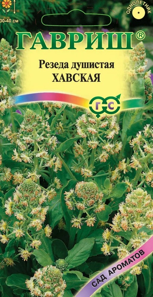 Резеда душистая Хавская, 0,1 г. Сад ароматов.