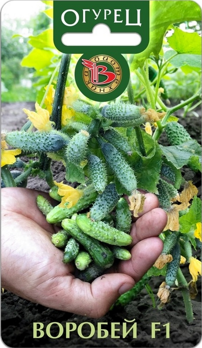 Огурец  Воробей, 10 шт. Биотехника