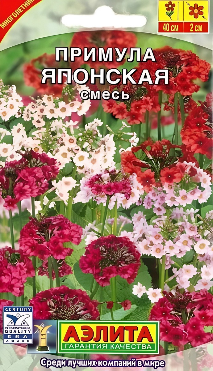 Примула японская, смесь окрасок, 20 шт.