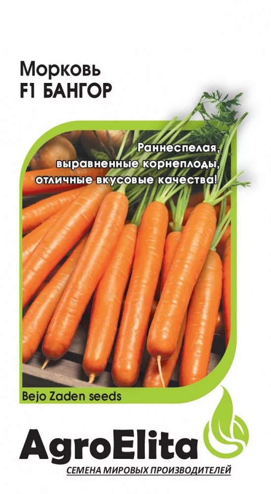Морковь Бангор F1, 150 шт. Голландия.