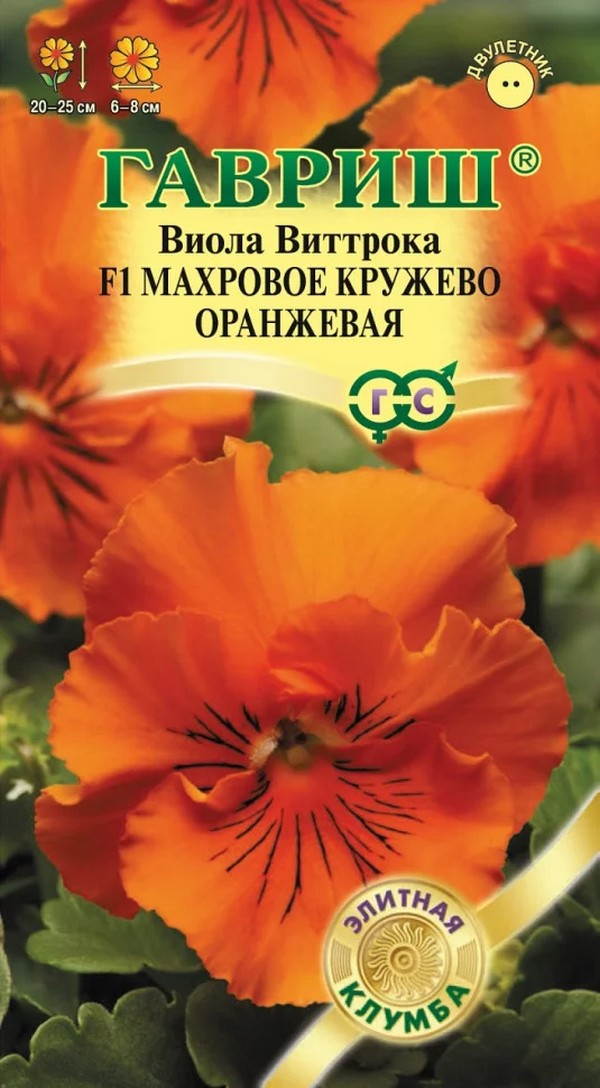 Виола Махровое Кружево оранжевое, 5шт. Элитная клумба.