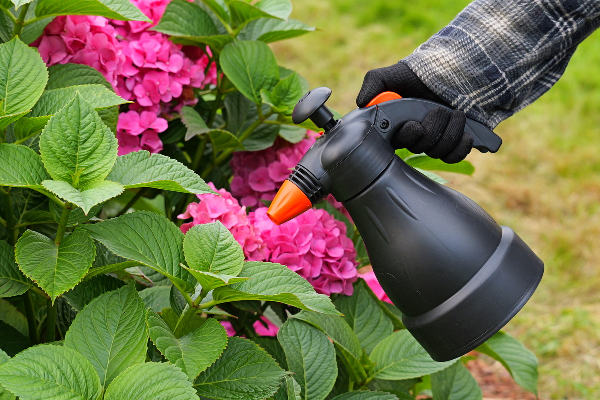 Обработка деревьев от вредителей