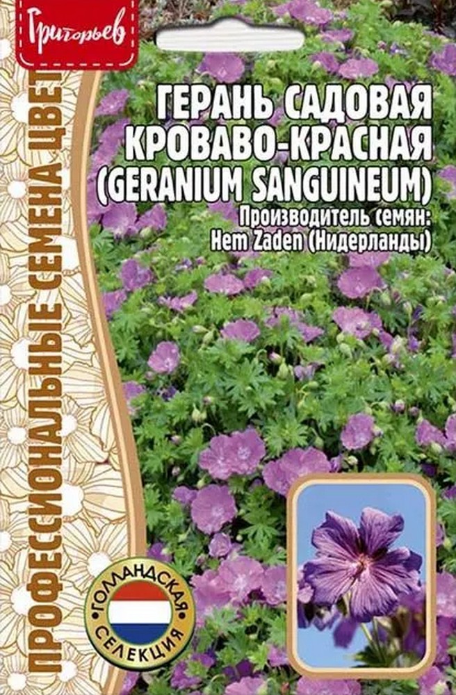 Герань садовая Кроваво-Красная, 3 шт.