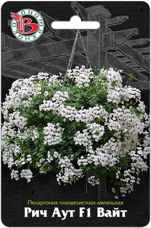 Пеларгония плющелистная ампельная Рич Аут F1 Вайт, 5 шт. Биотехника