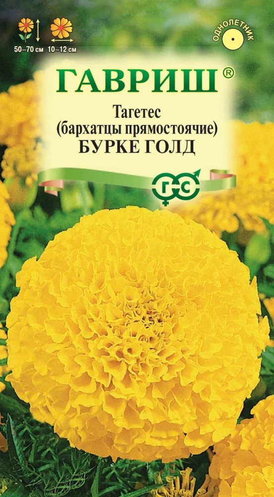 Бархатцы прямостоячие Бурке Голд, 0,3 г