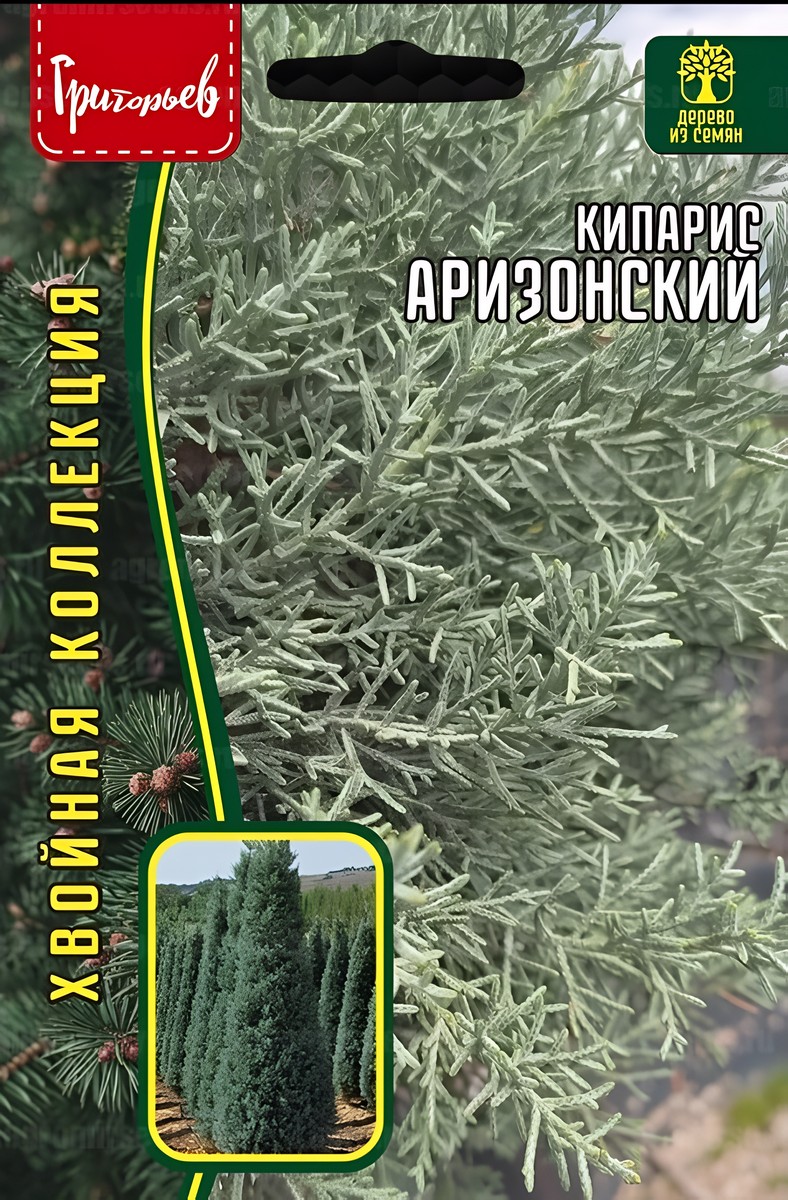 Кипарис Аризонский 0,1 г