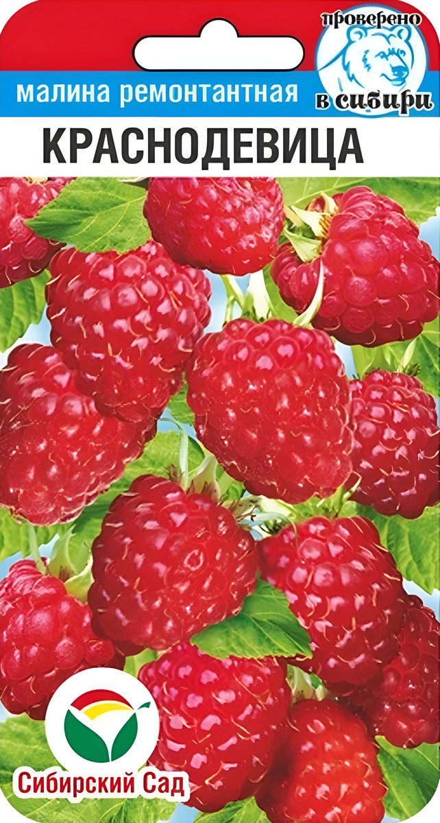 Малина Краснодевица, 10 шт.