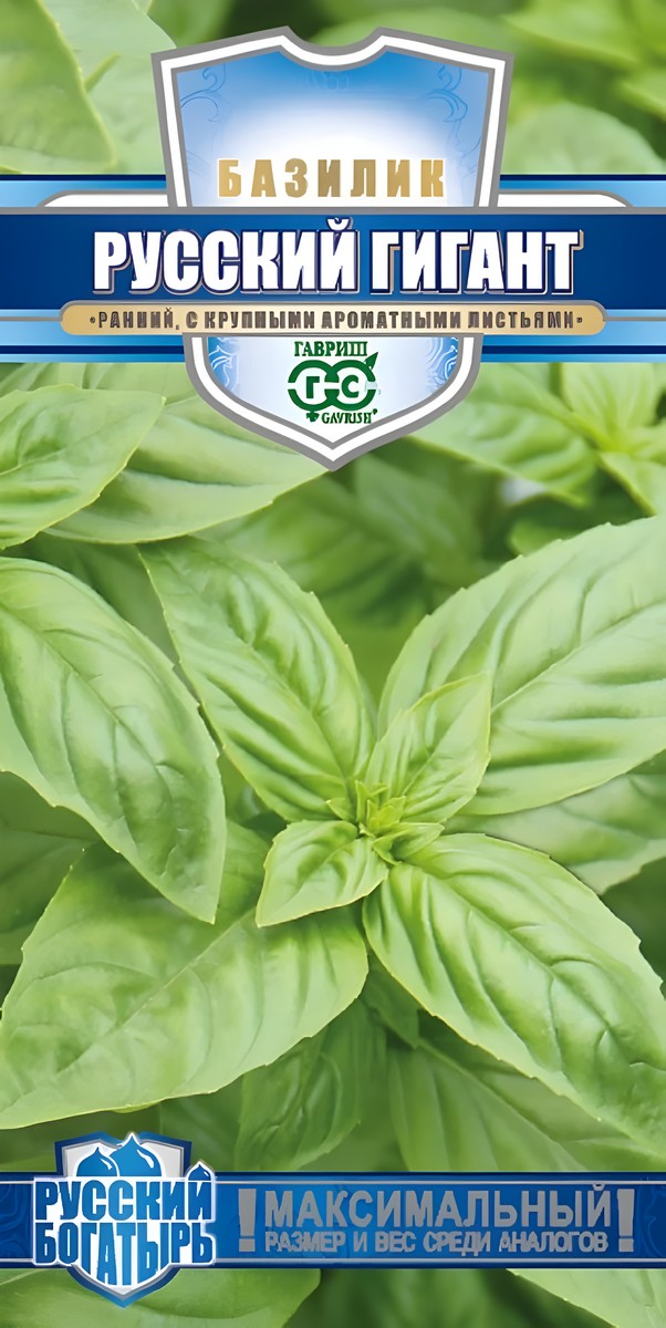 Базилик Русский гигант, зеленый, 0,3 г. Русский богатырь 