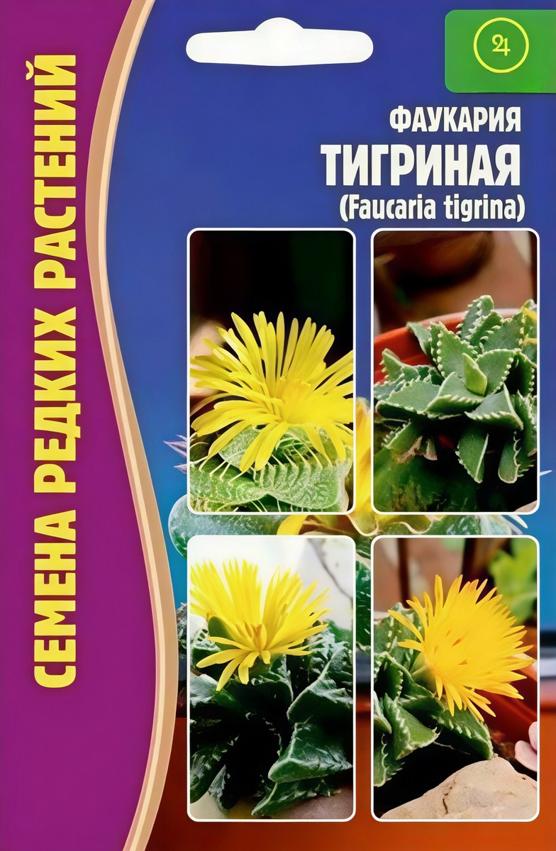 Фаукария тигриная, 3 шт.