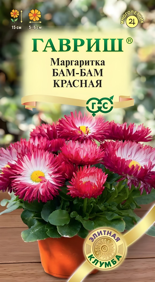 Маргаритка Бам-бам красная, 7 шт. Элитная клумба.