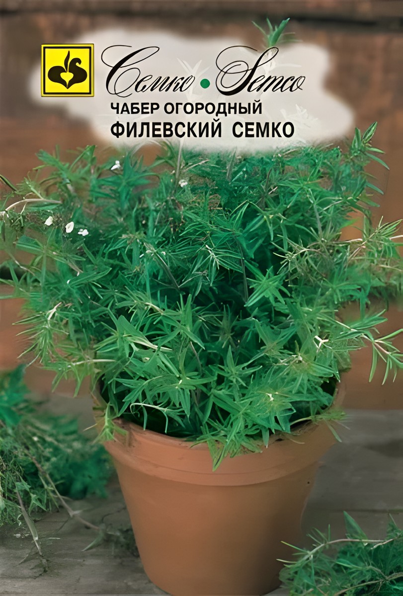 Чабер огородный Филевский, 0,2 г. Семко.