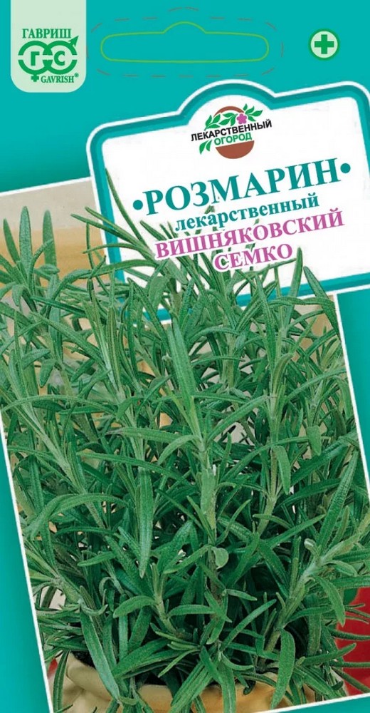 Розмарин Вешняковский Семко, 0,05 г. Лекарственная.