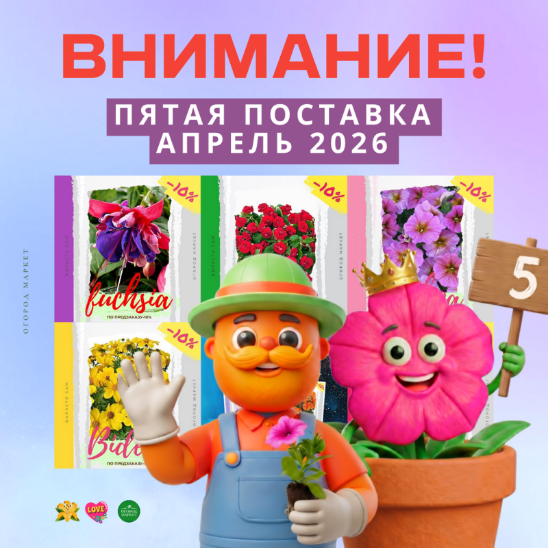 Поставка укорененных черенков