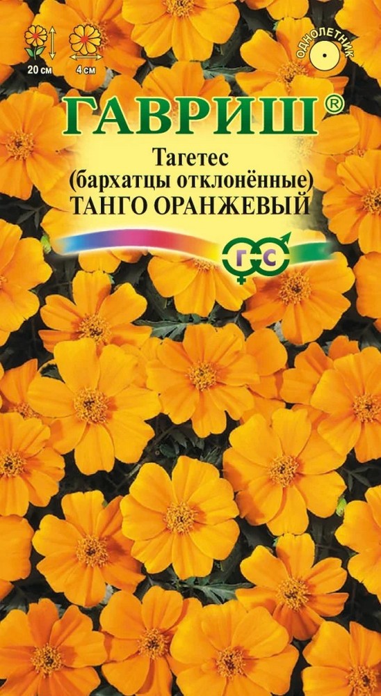 Бархатцы отклонённые Танго оранжевый, 10 шт. Элитная клумба.
