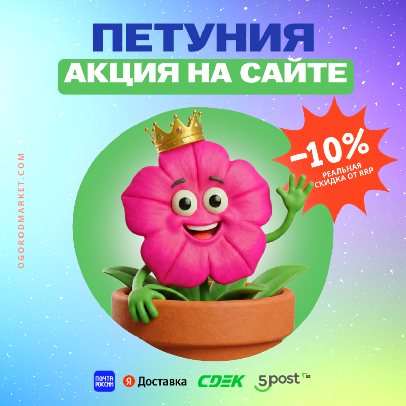 Королева петуний ждёт вас