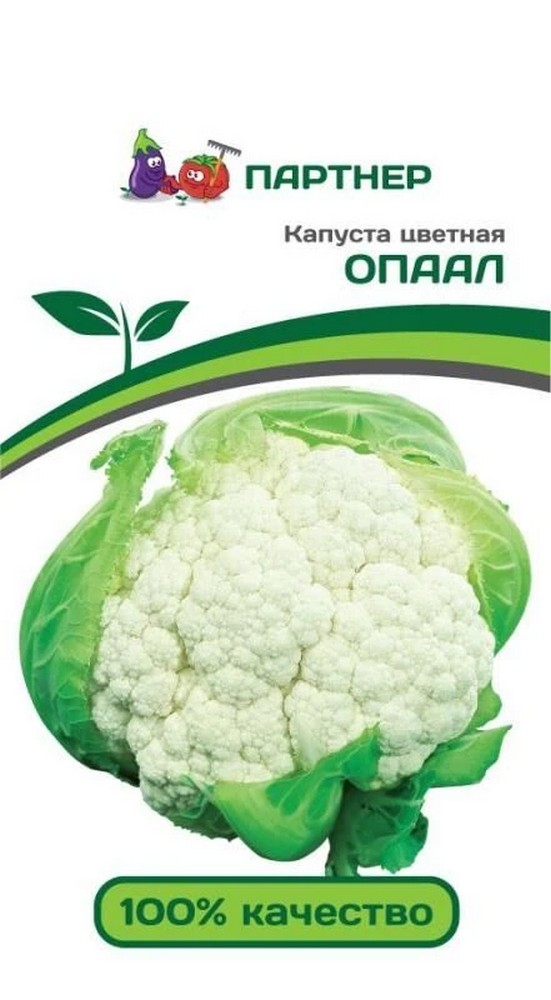 Капуста цветная Опаал, 10 шт. Агрофирма Партнер.