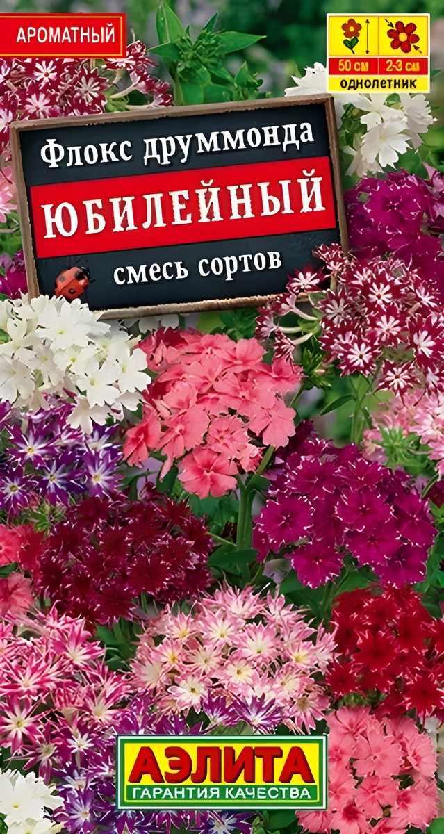 Флокс друммонда Юбилейный, смесь окрасок, 0,2 г