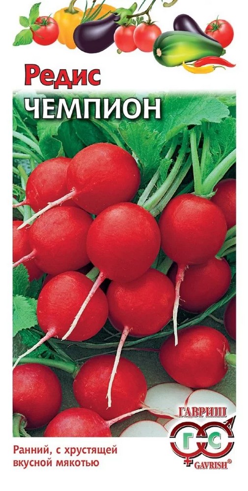 Редис Чемпион, 3 г. Гавриш.