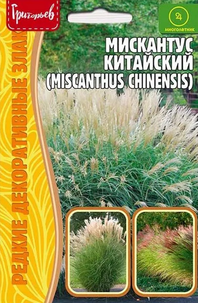 Мискантус китайский (Miscanthus sinensis), 0,01 г
