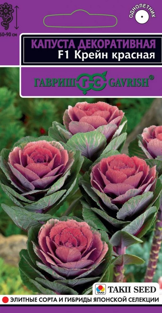 Капуста декоративная Крейн красная F1, 6 шт. Эксклюзив.