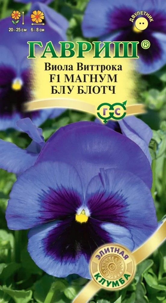 Виола Магнум Блу Блотч F1, 5 шт. Элитная клумба.