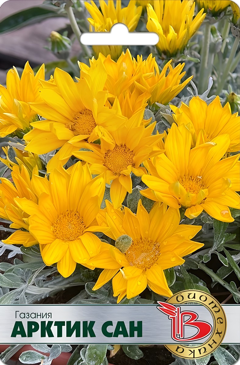 Газания Арктик Сан, 7 шт.
