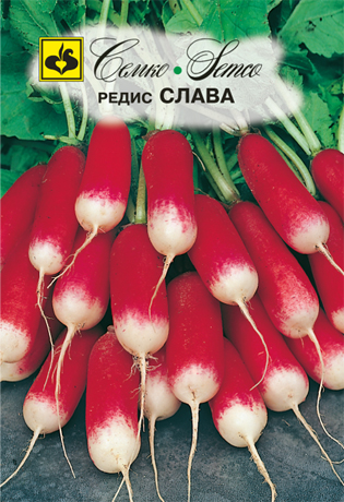 Редис Слава, 3 г