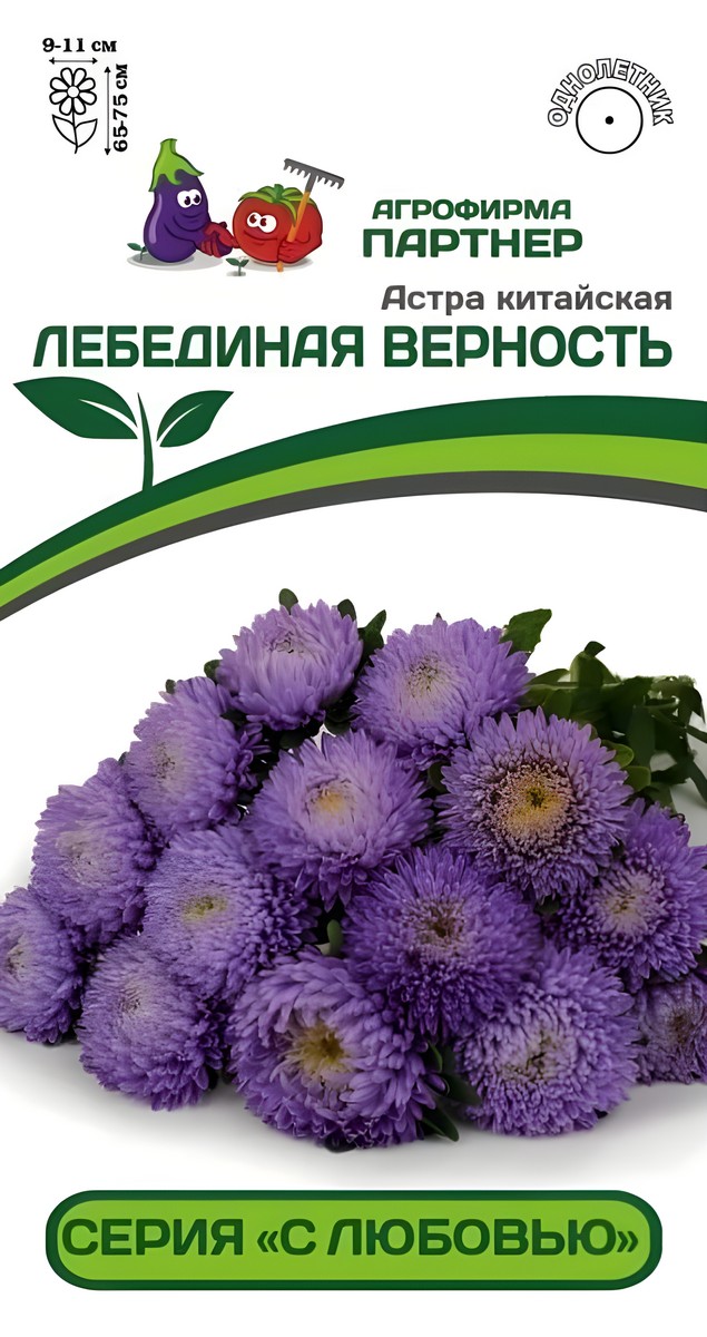 Астра китайская Лебединая Верность, 5 шт. С любовью