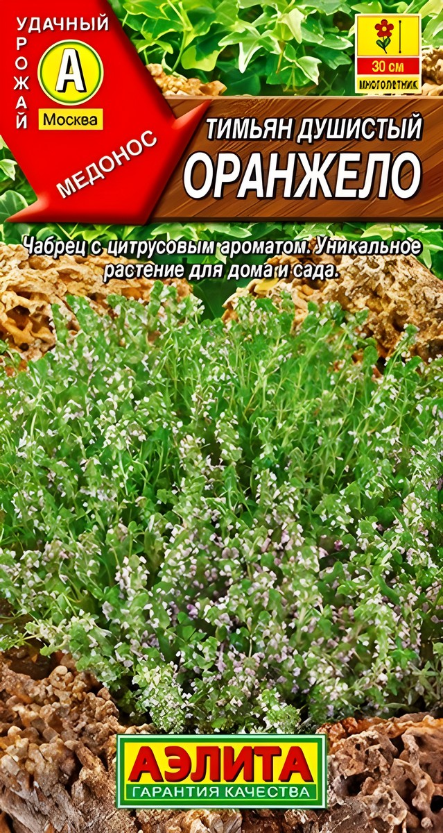 Тимьян Оранжело, 10 шт.