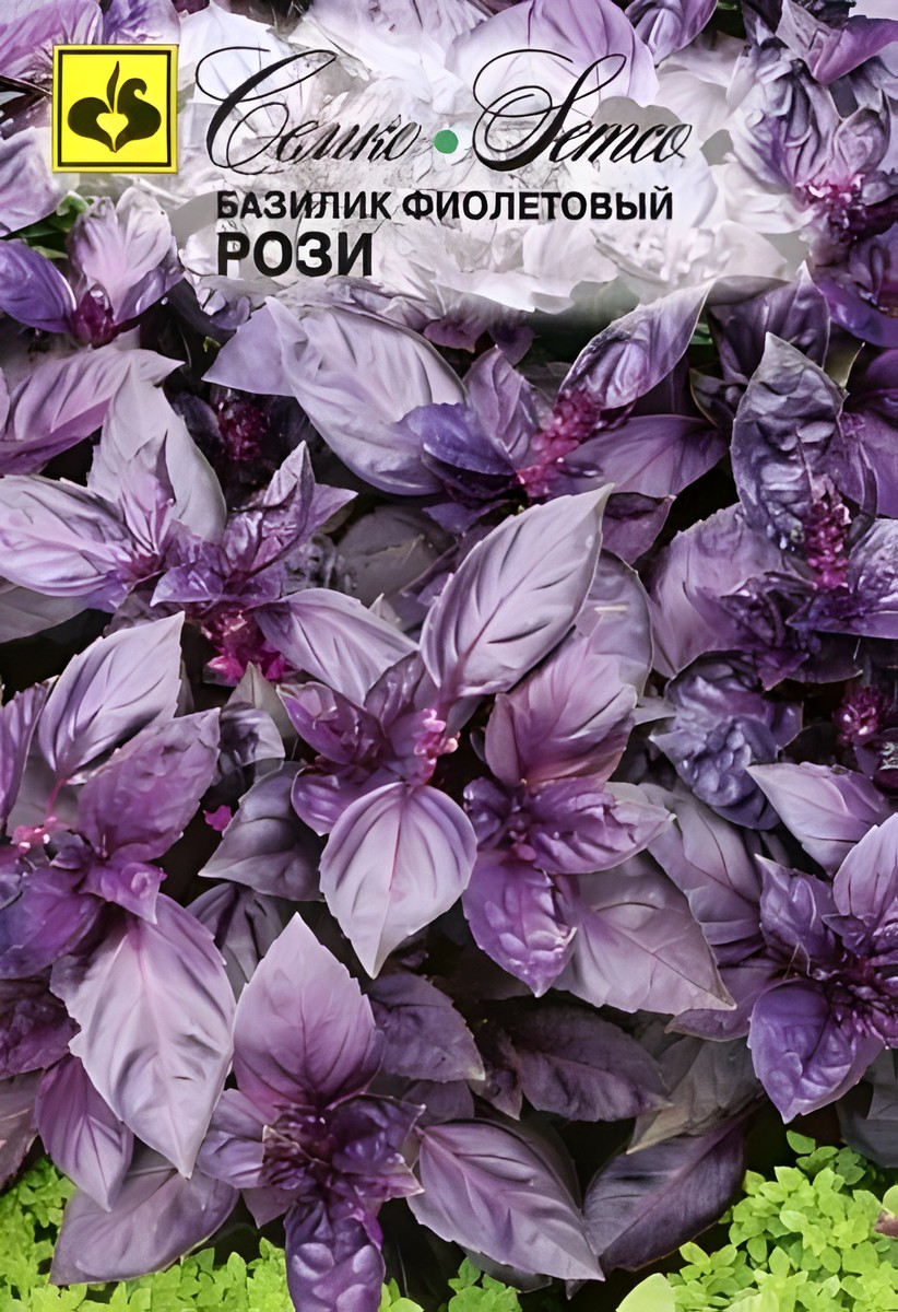Базилик фиолетовый Рози, 1 г. Семко.