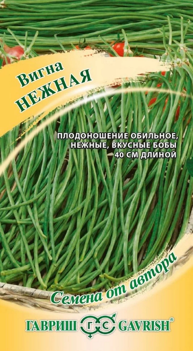 Вигна Нежная, 10 шт. Авторские семена.