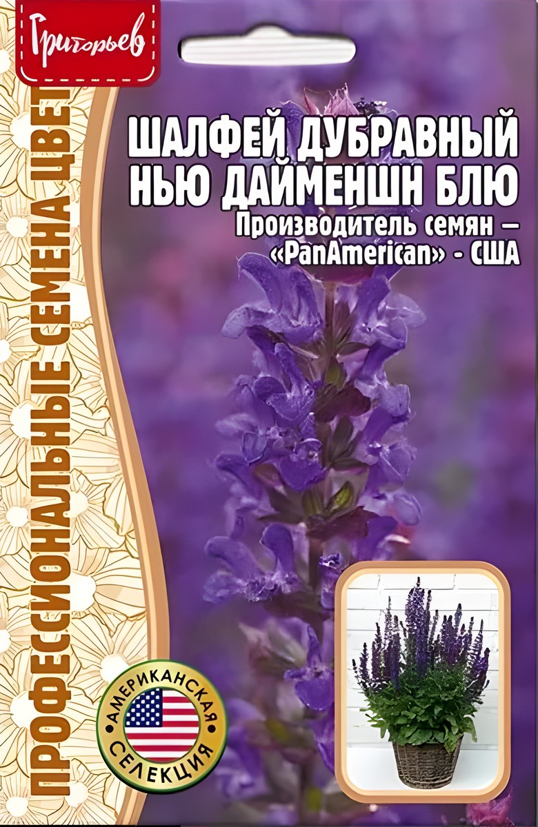 Шалфей дубравный Нью Дайменшн Блю, 5 шт.