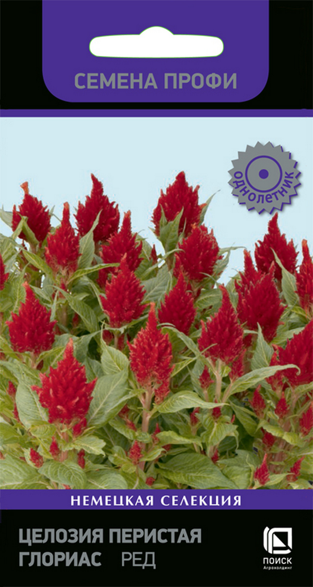 Целозия перистая Глориас Ред, 10 шт. Семена профи