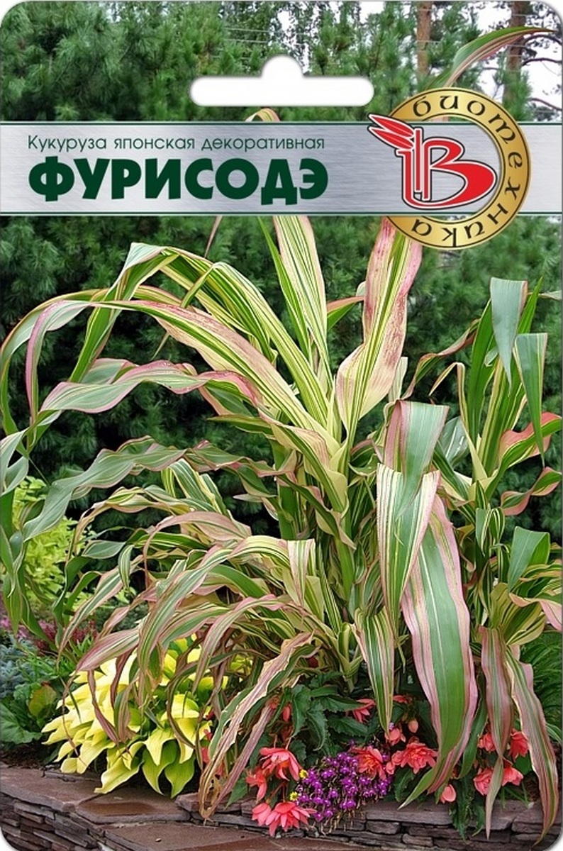 Кукуруза японская декоративная Фурисоде, 10 шт. Биотехника