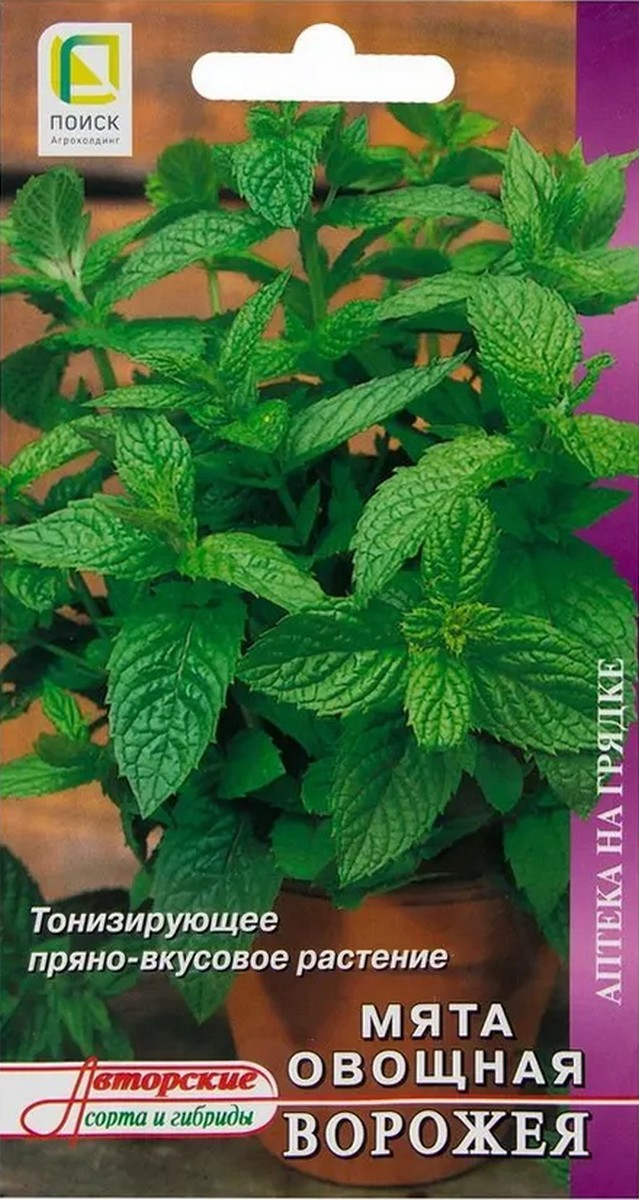 Мята овощная Ворожея, 0,1 г. Аптека на грядке.