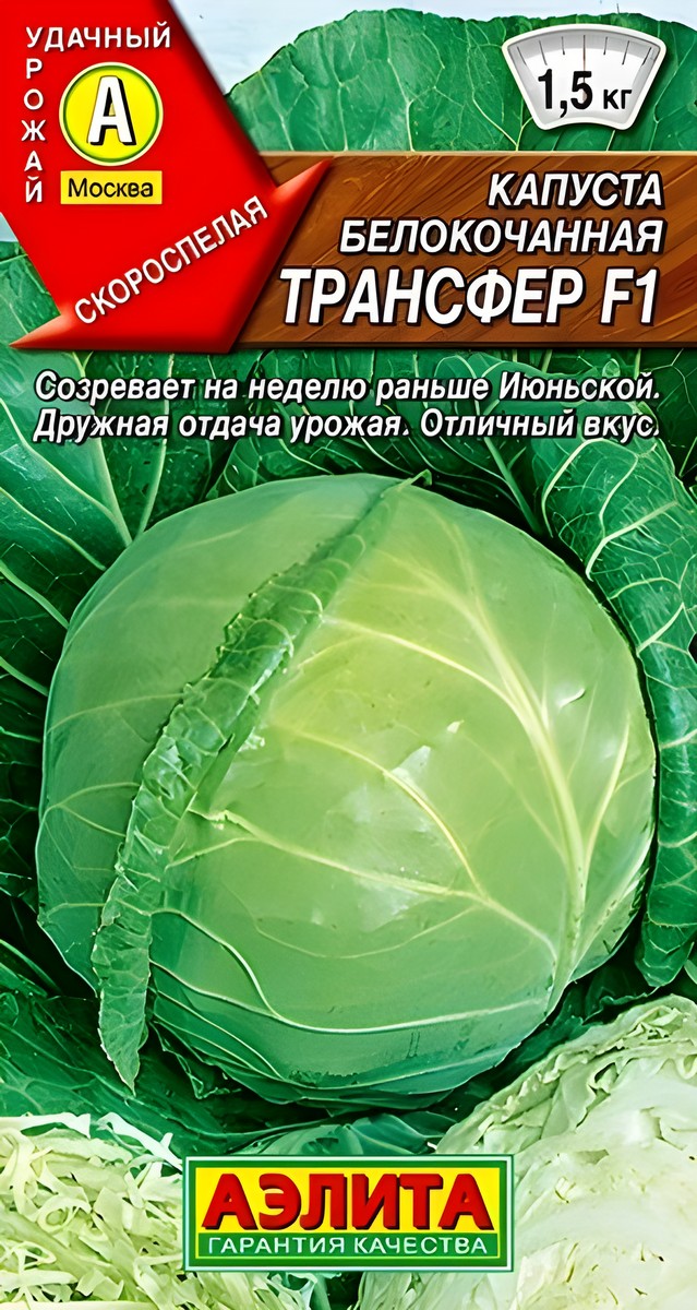 Капуста белокочанная Трансфер F1, 0,1 г 