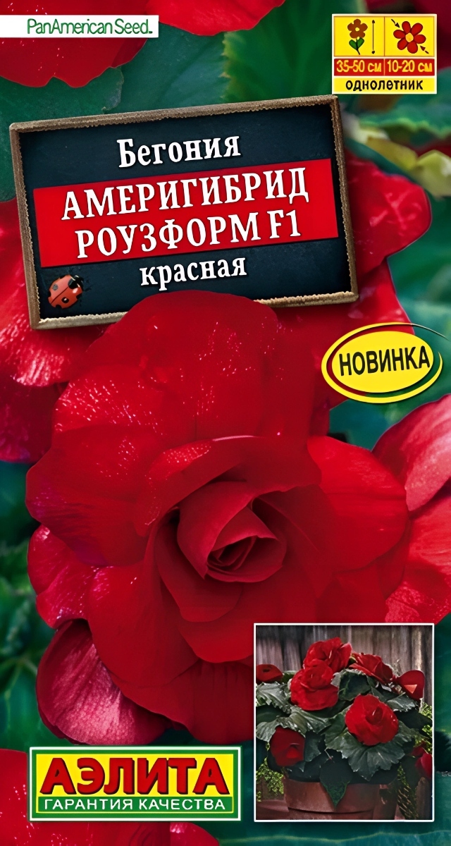 Бегония Америгибрид Роузформ F1 красная, 5 шт. 