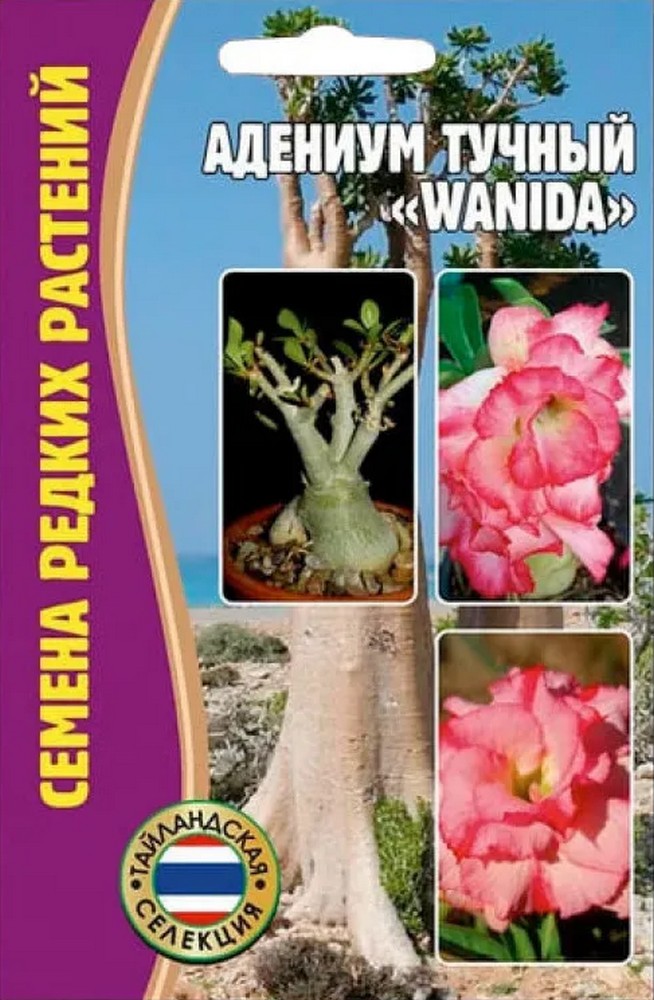 Адениум Wanida (Ванида), 3шт.