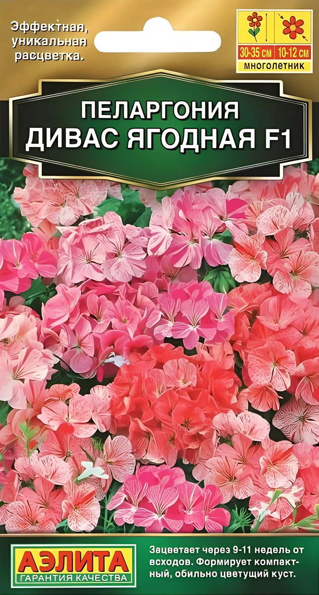 Пеларгония Дивас F1 ягодная, смесь сортов, 3 шт.
